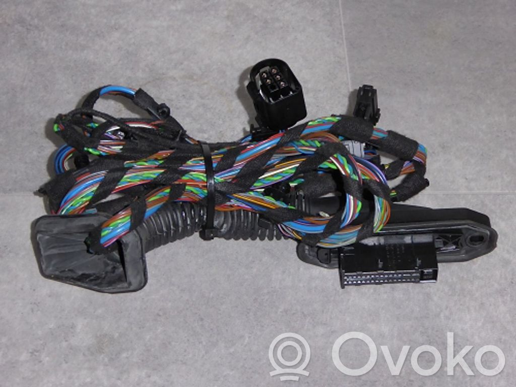 BMW X5 E70 Cableado de puerta trasera 