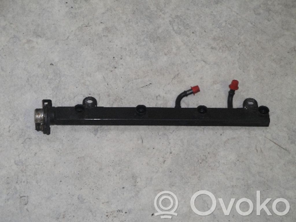 BMW 5 E34 Degvielas iesmidzināšanas caurule (-es) 