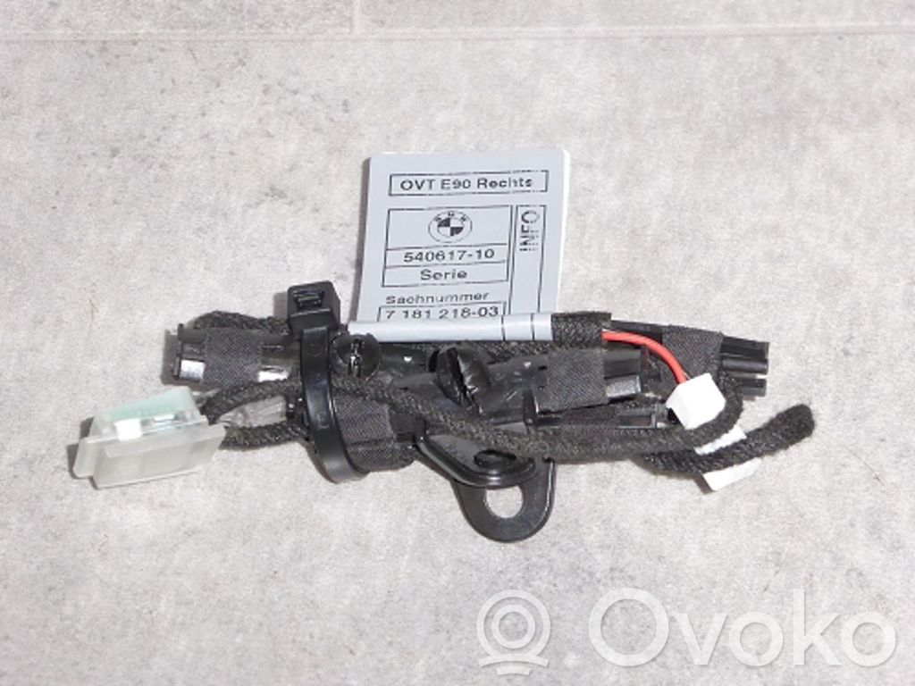 BMW X1 E84 Etuoven ulkokahvan valo (ulko) 