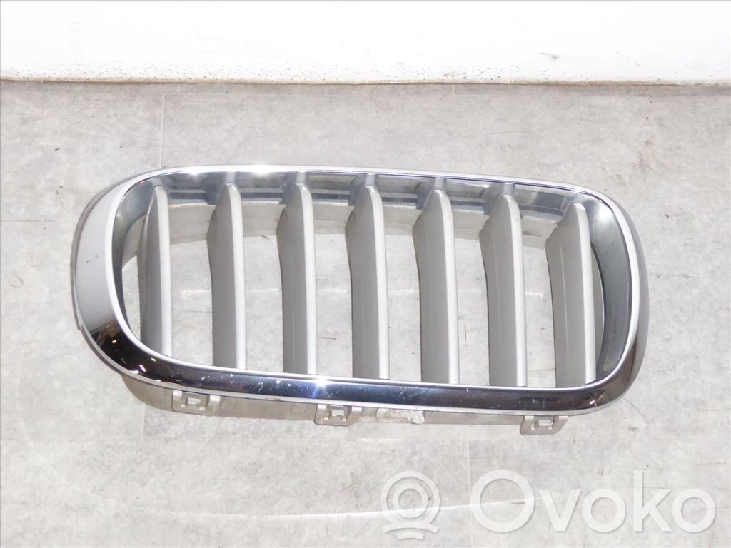 BMW X5 F15 Griglia anteriore 