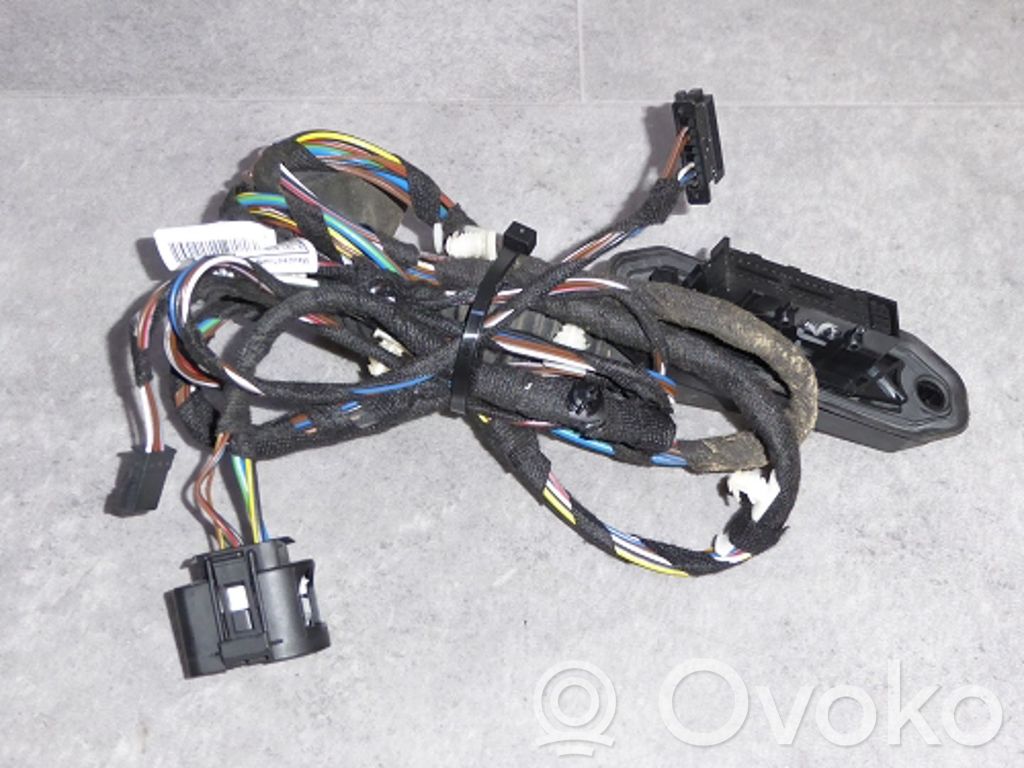 BMW X1 E84 Cableado de puerta trasera 