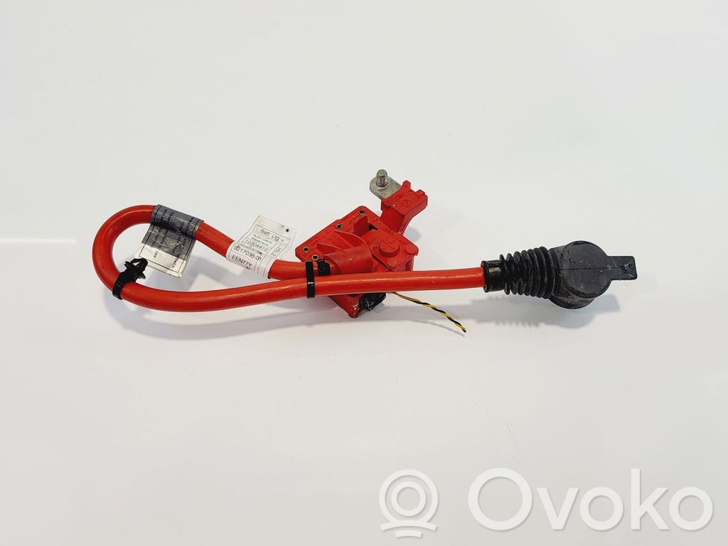 BMW 5 F10 F11 Cavo positivo (batteria)