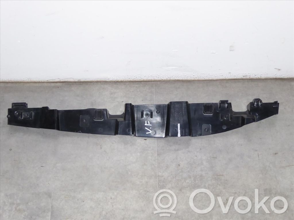 Panel lateral delantero   51657299183,51657299183