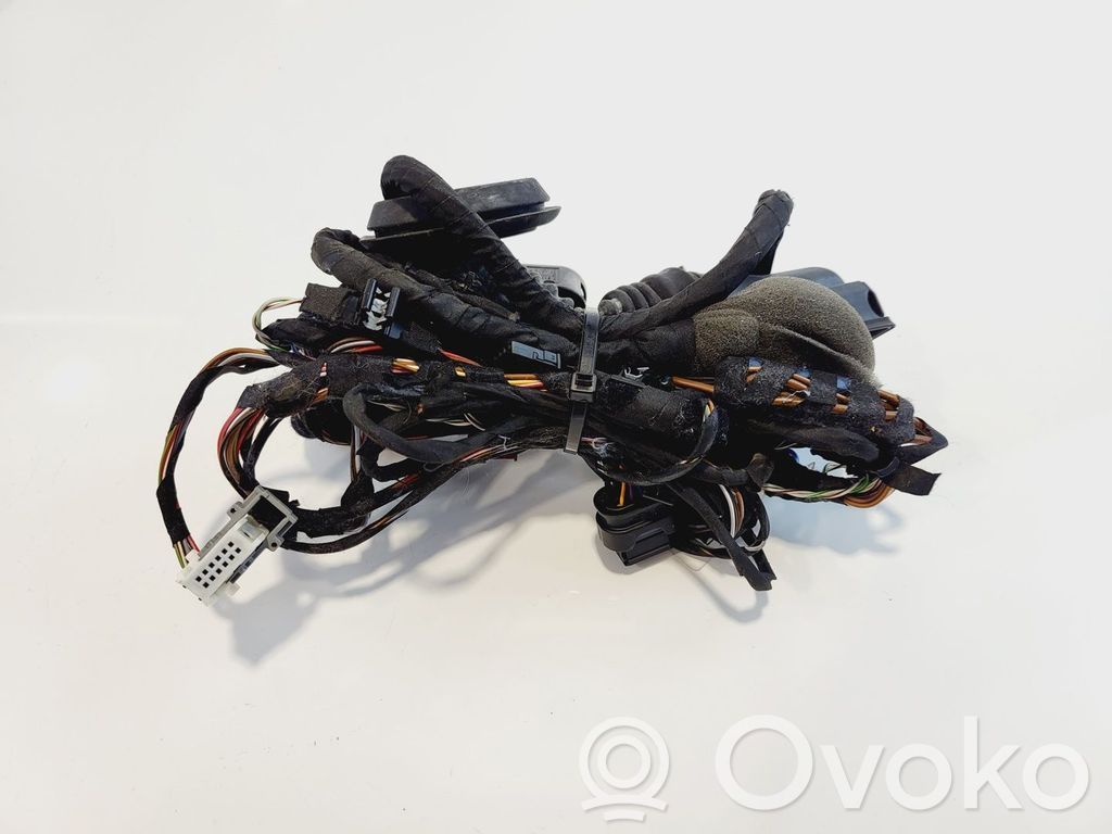 BMW 5 G30 G31 G38 Cableado de puerta delantera