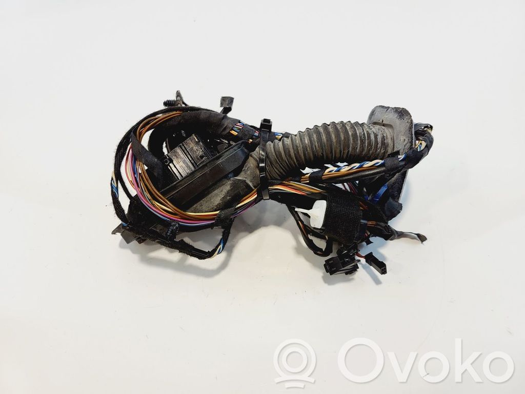 BMW X6 E71 Cableado de puerta delantera 