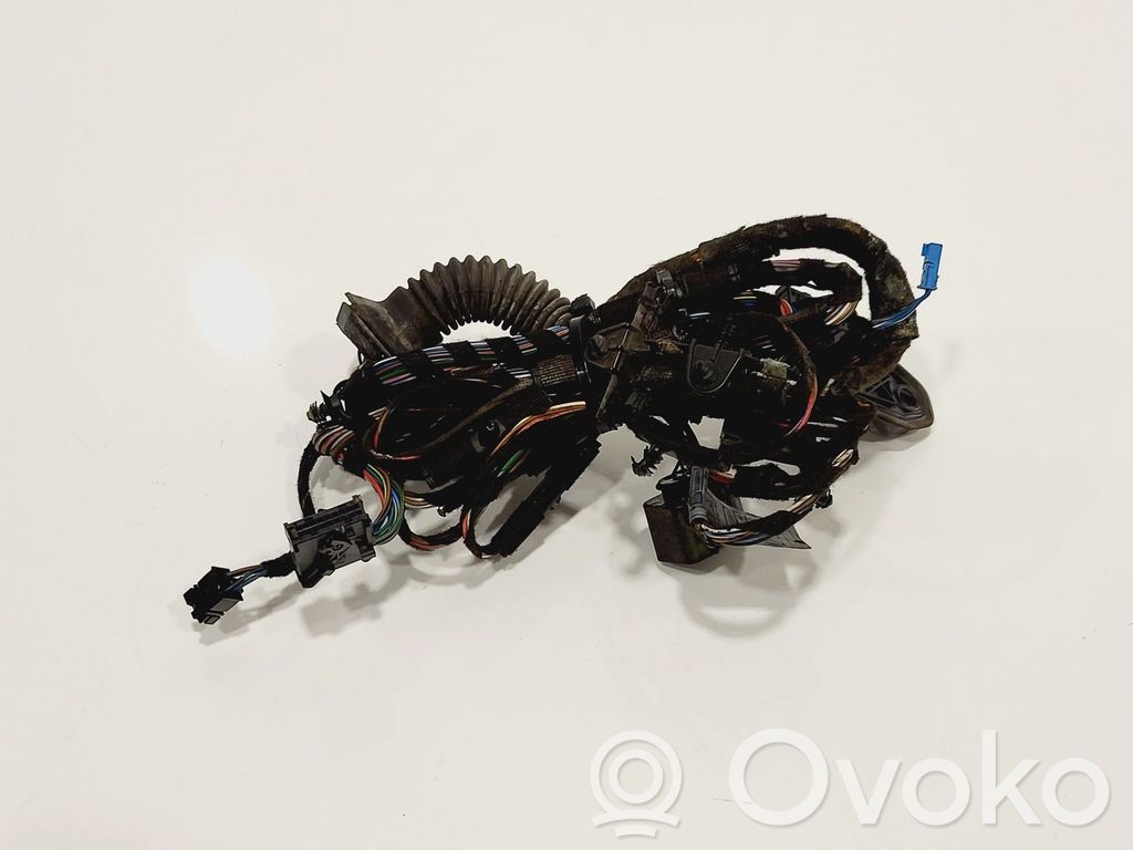 BMW 3 E92 E93 Cableado de puerta delantera 