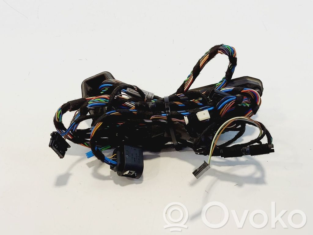 BMW X5 E70 Cableado de puerta trasera 