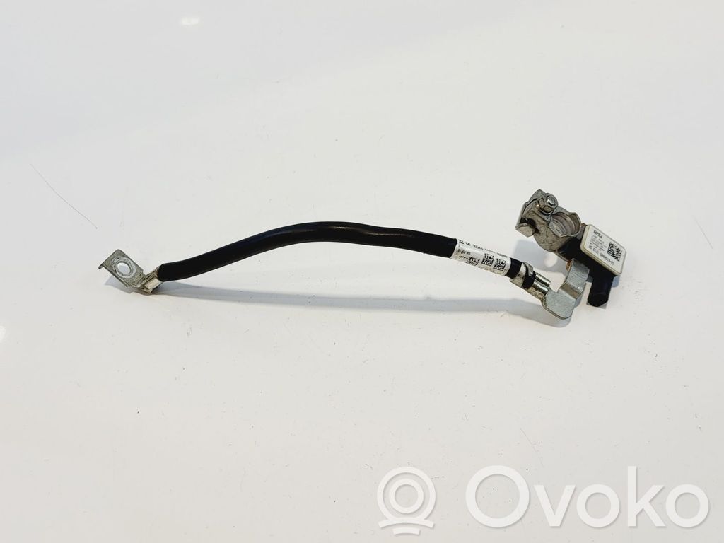 BMW X3 G01 Cavo negativo messa a terra (batteria)