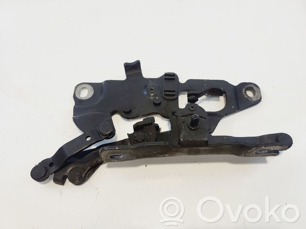 BMW 5 F10 F11 Cerniere del vano motore/cofano