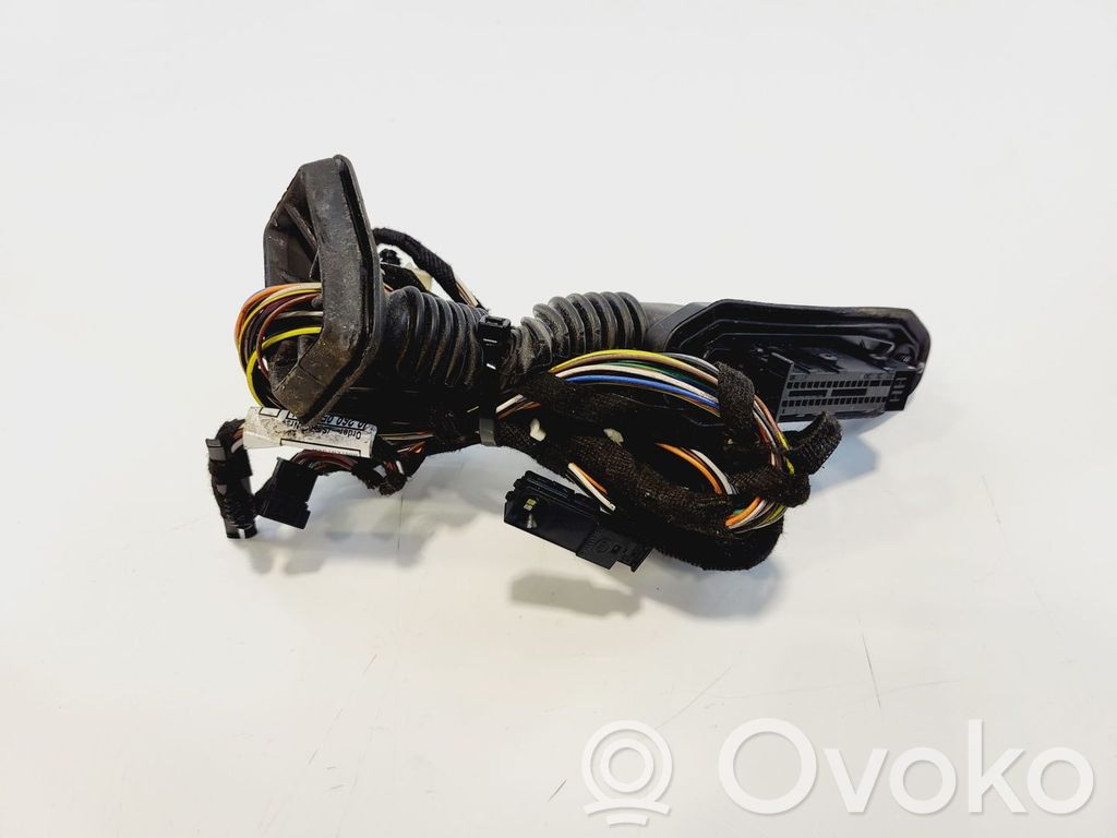 BMW X1 E84 Cableado de puerta trasera 