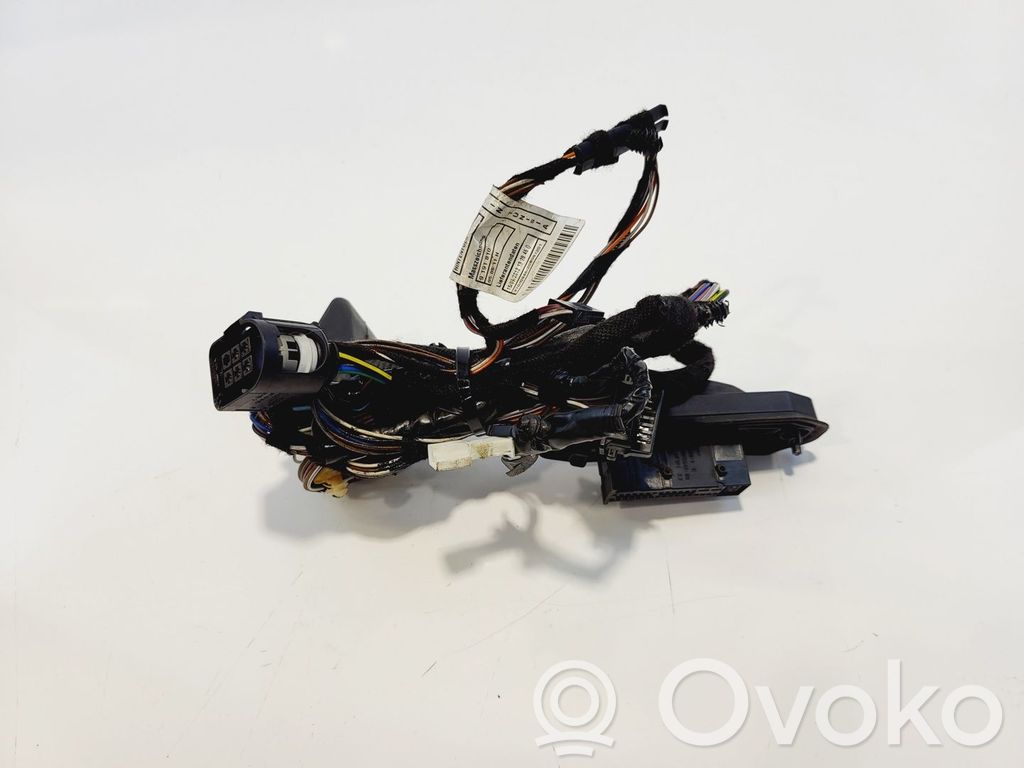 BMW X1 E84 Cableado de puerta trasera 