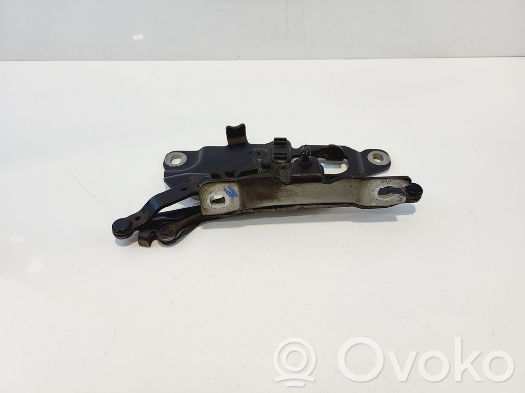BMW 5 F10 F11 Cerniere del vano motore/cofano