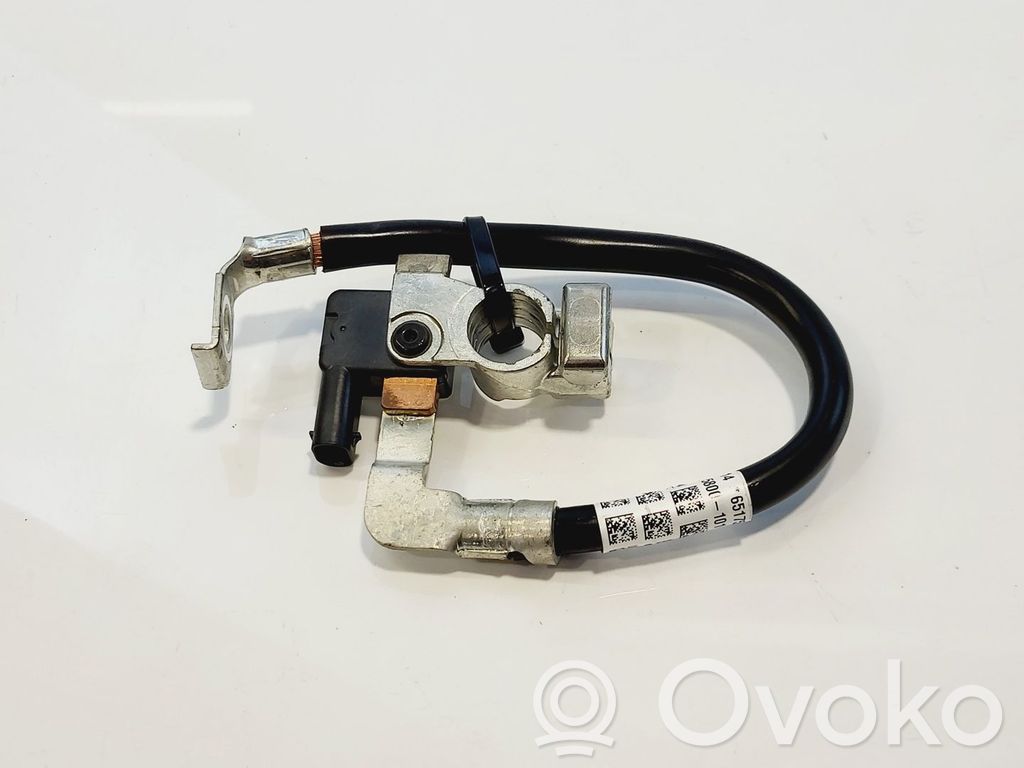 BMW 5 G30 G31 G38 Cavo negativo messa a terra (batteria)