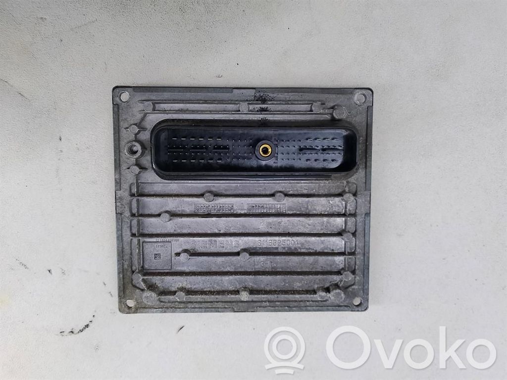 Ford Focus Engine control unit/module ECU 