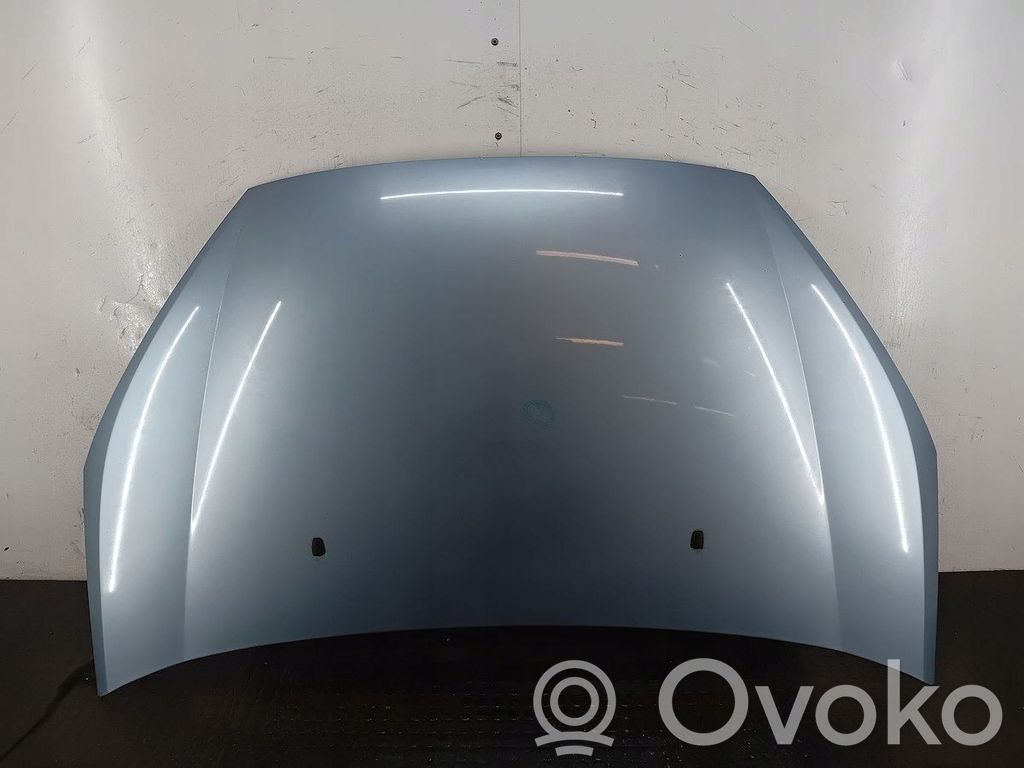 Engine bonnet/hood
