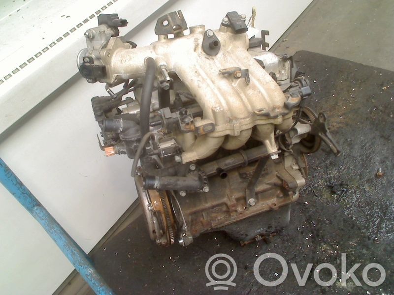 Motor