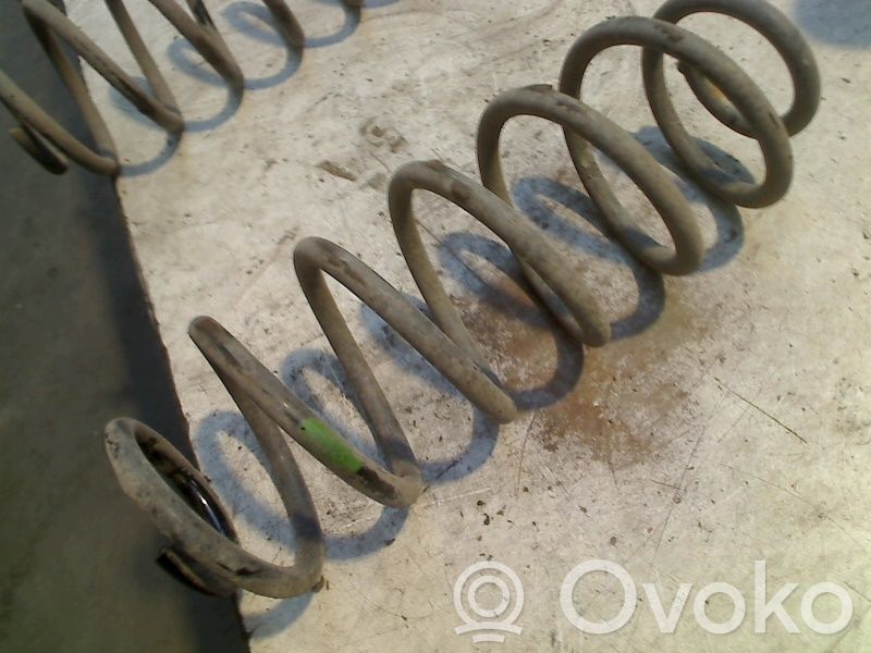 Rear coil spring