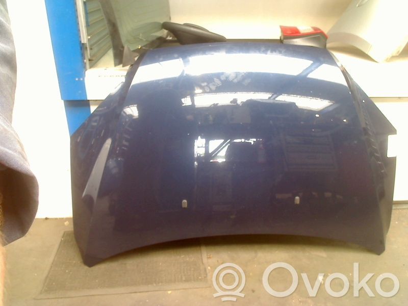 Engine bonnet/hood