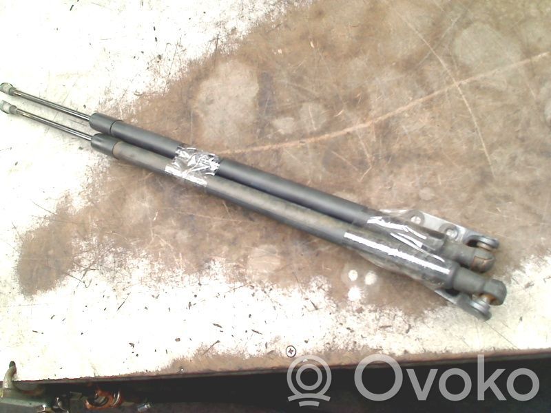 Tailgate/trunk strut/damper