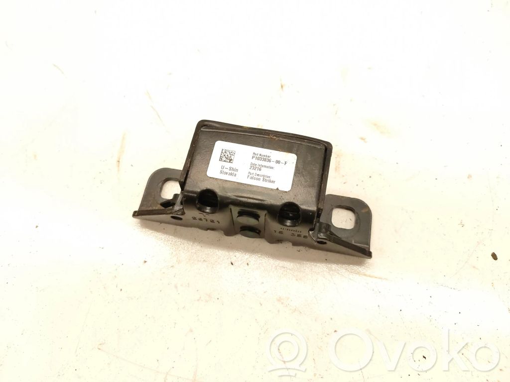 Tesla Model X Trunk lock loop 