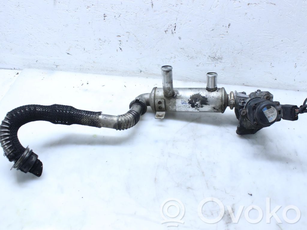 Válvula EGR   21597518