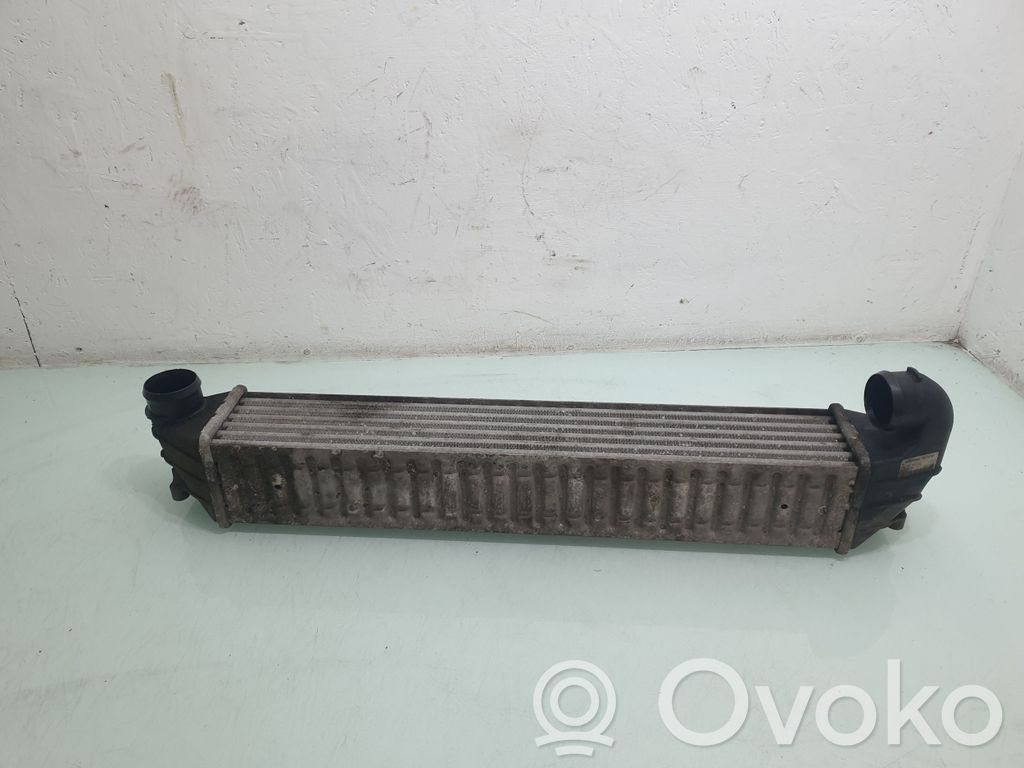 Seat Alhambra (Mk1) Intercooler radiator 
