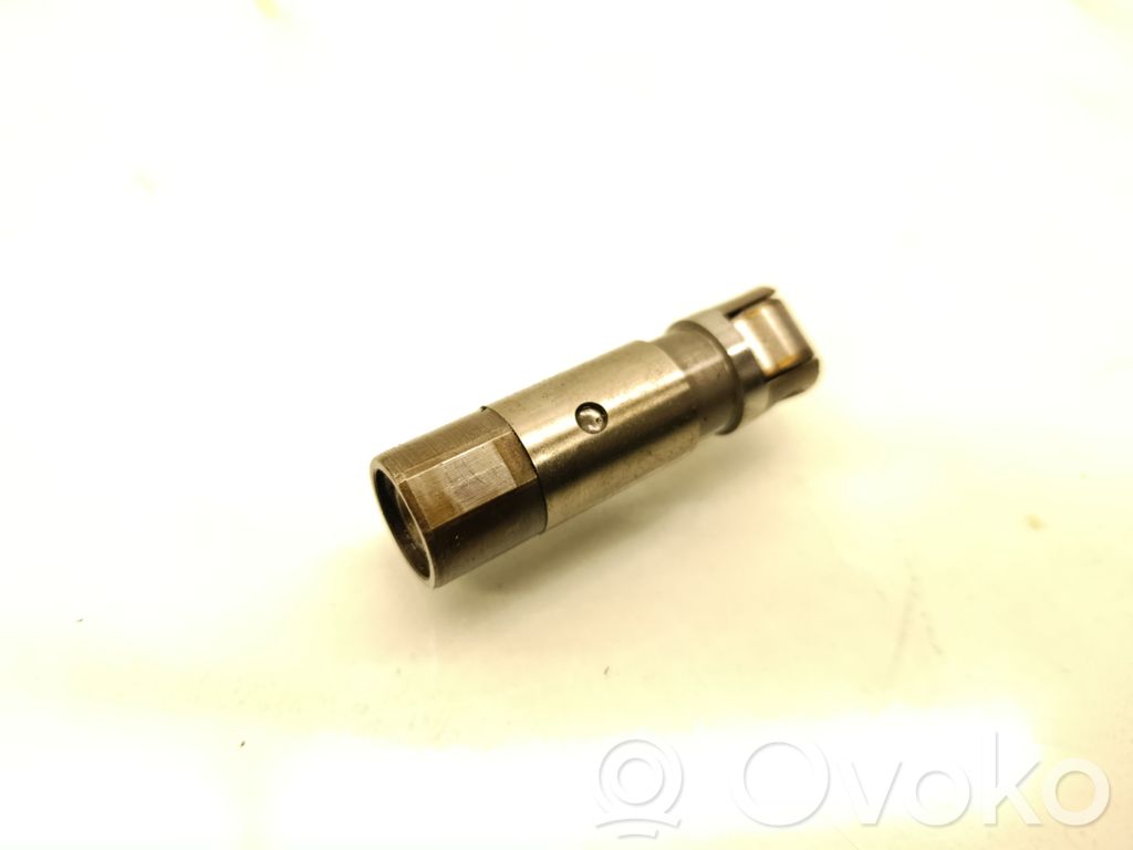 Dodge Charger Kompensatorius (hidrokompensatorius) 