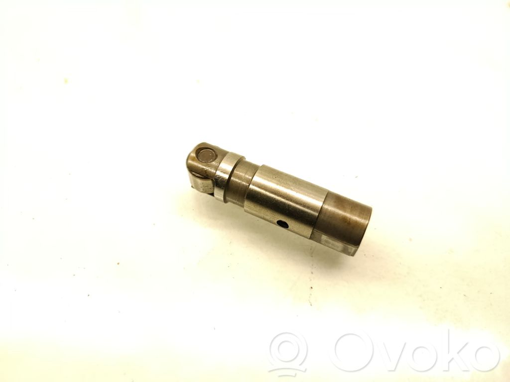 Dodge Charger Kompensatorius (hidrokompensatorius) 