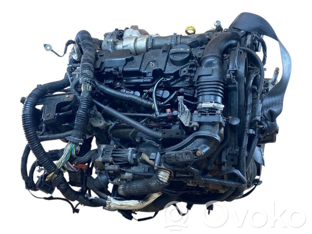 Moottorisarja   T1DB,D28RNZ11,9672921080,30659390,AM5N19D629AB,AV6N10300GC