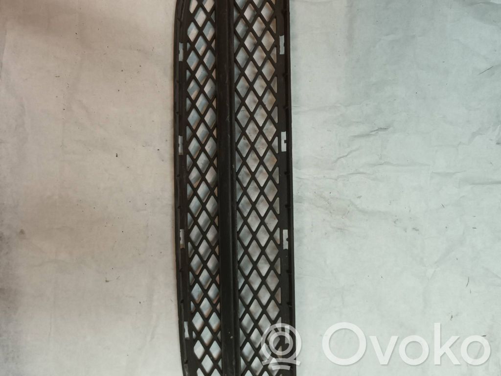 Front bumper lower grill   7154556