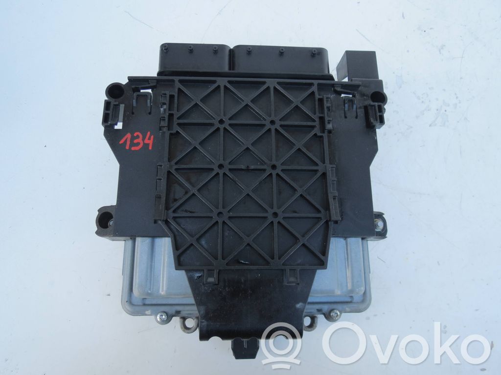 Engine control unit/module ECU