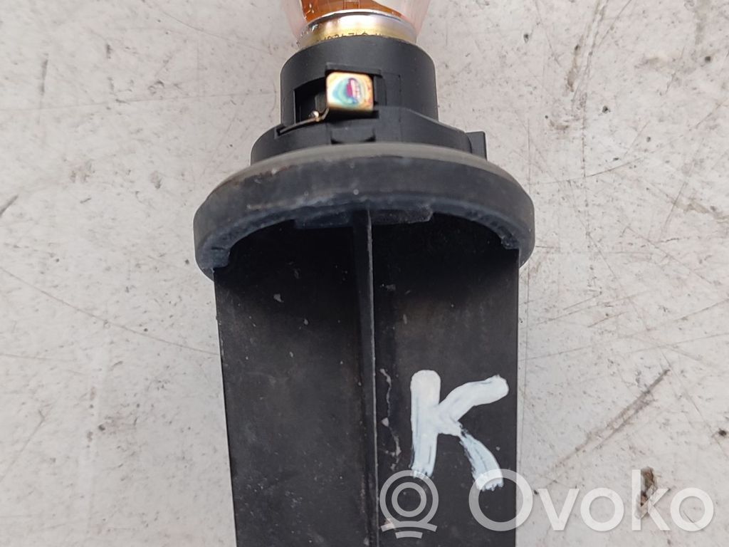 Priekinio žibinto detalė
