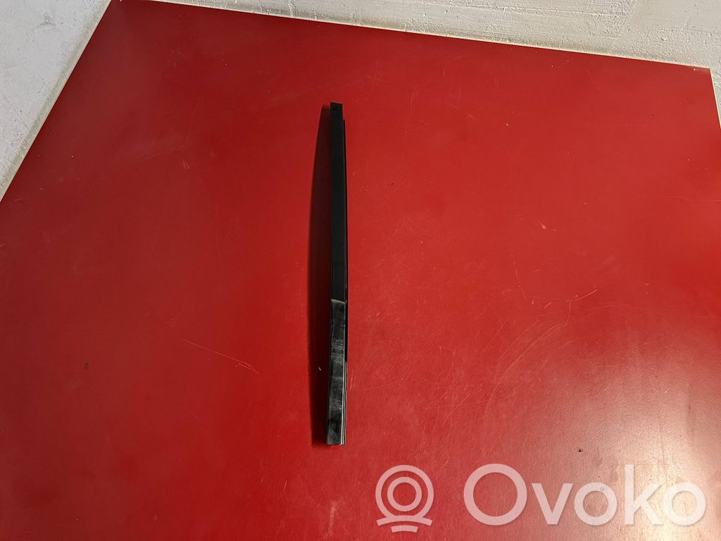 BMW X3 G01 Rear door glass trim molding 