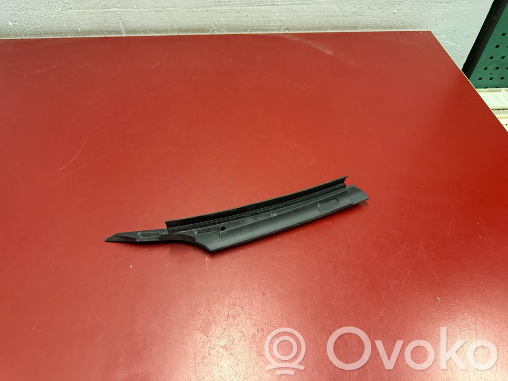 Tesla Model 3 Valytuvų apdaila (-os) 