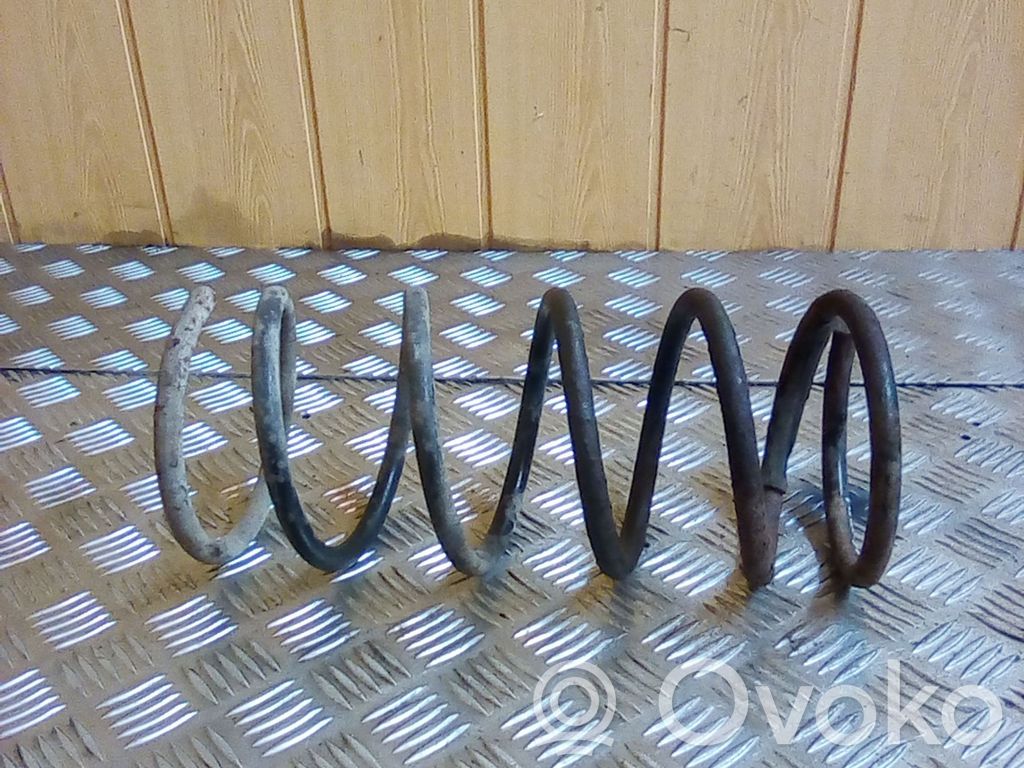 Rear coil spring