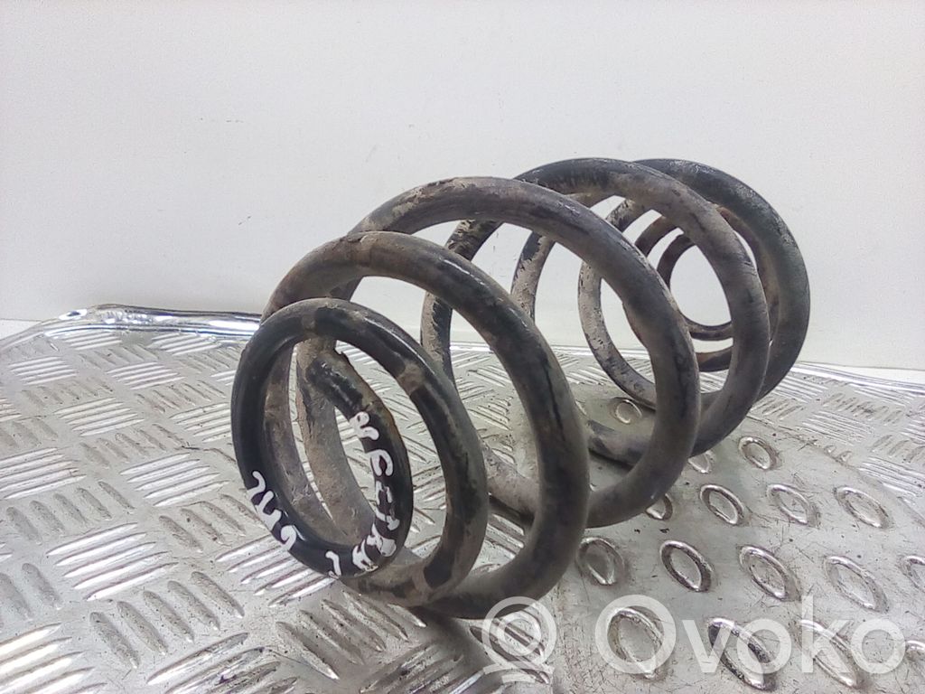 Rear coil spring