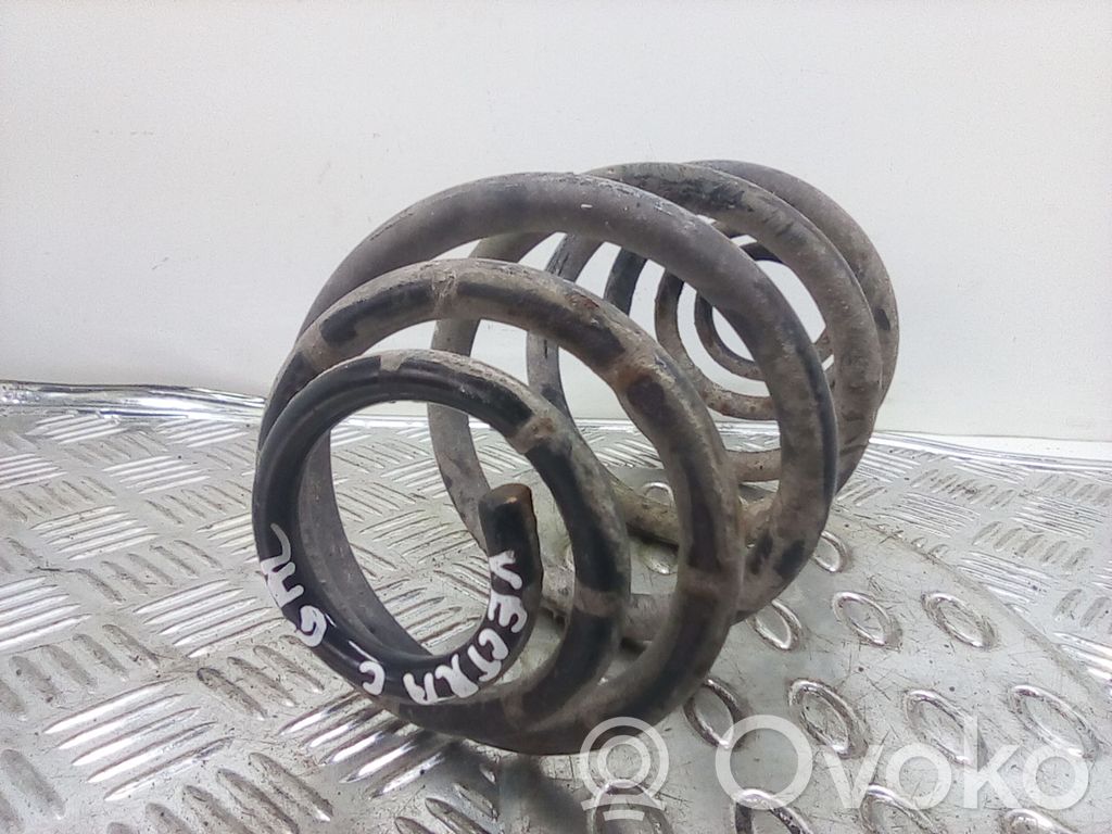 Rear coil spring