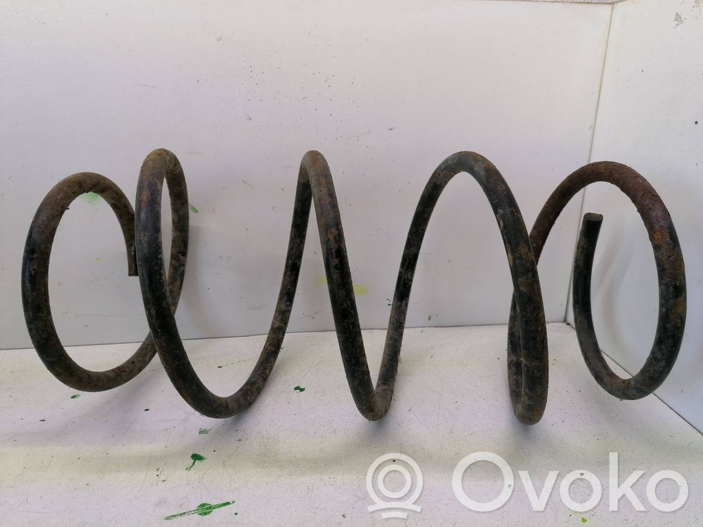 Front coil spring
