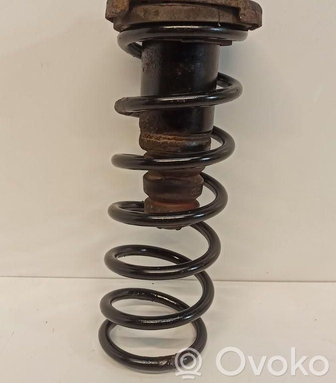 Rear coil spring