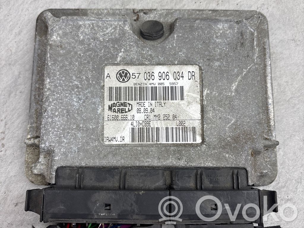 Volkswagen Golf IV Engine control unit/module 