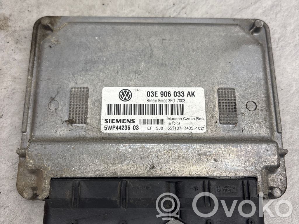 Volkswagen Polo IV 9N3 Engine control unit/module 