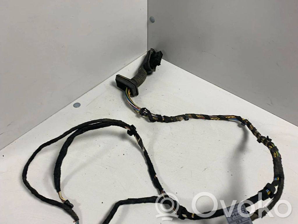 BMW X3 E83 Cableado de puerta trasera 