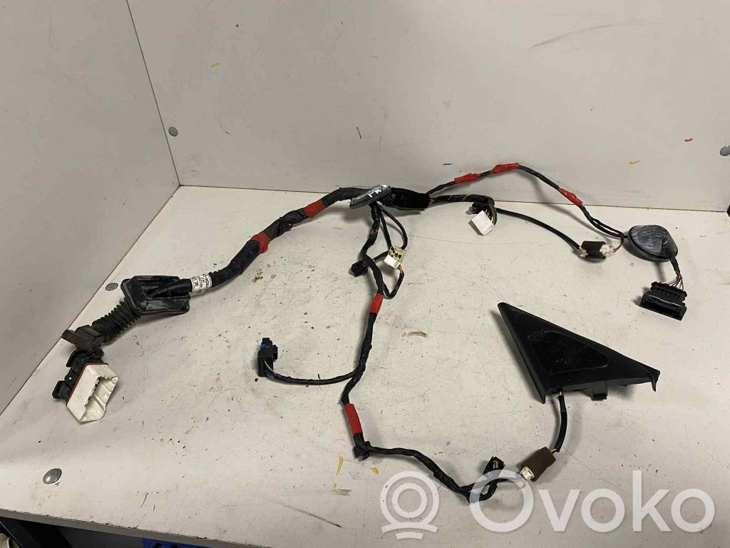 Hyundai Sonata Cableado de puerta delantera 