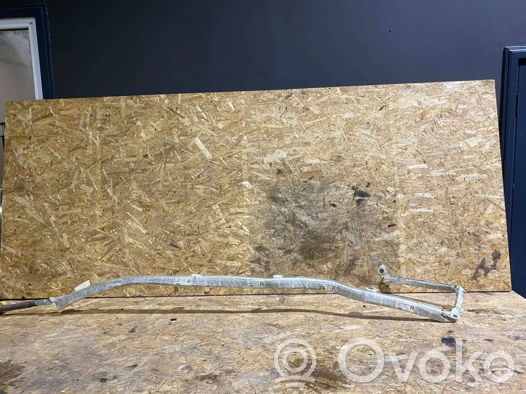 Audi A8 S8 D3 4E Airbag del techo 