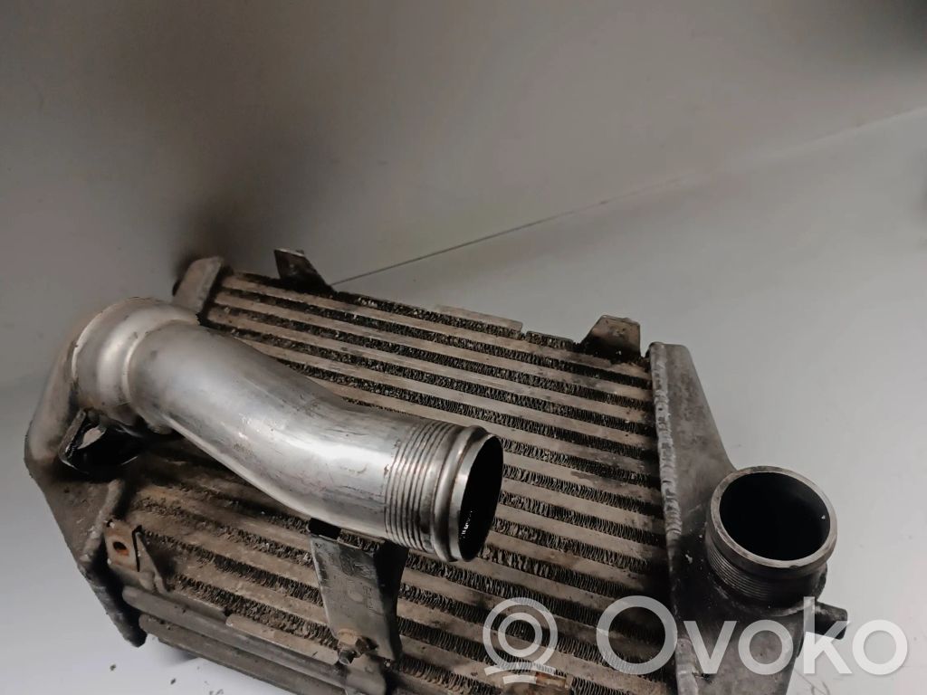 Audi A8 S8 D3 4E Interkūlerio radiatorius 