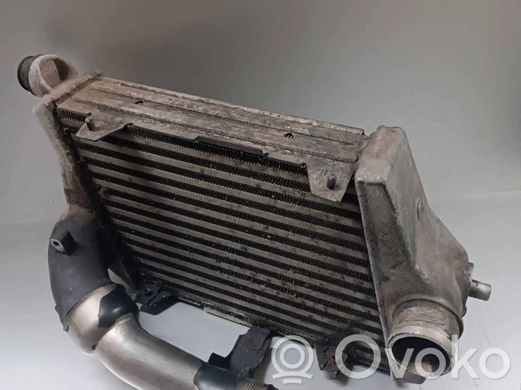 Audi A8 S8 D3 4E Interkūlerio radiatorius 