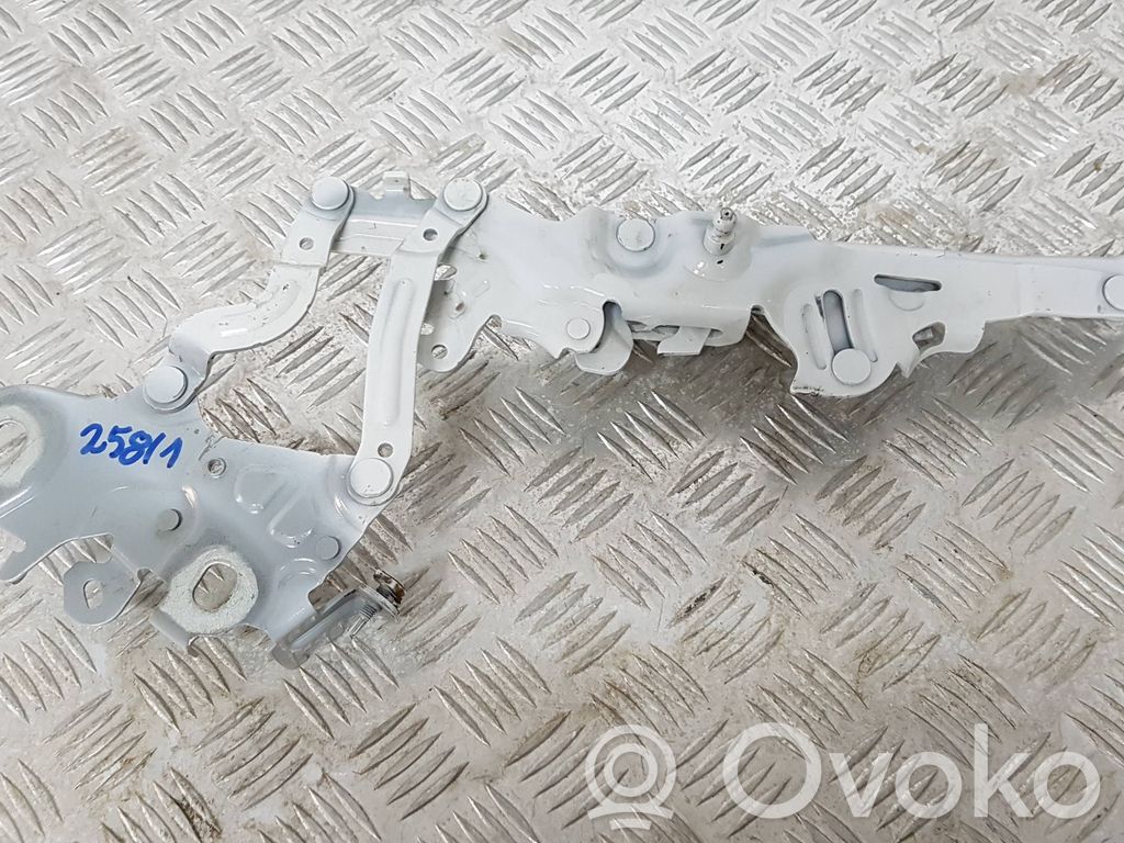 BMW 1 F40 Capotă motor 