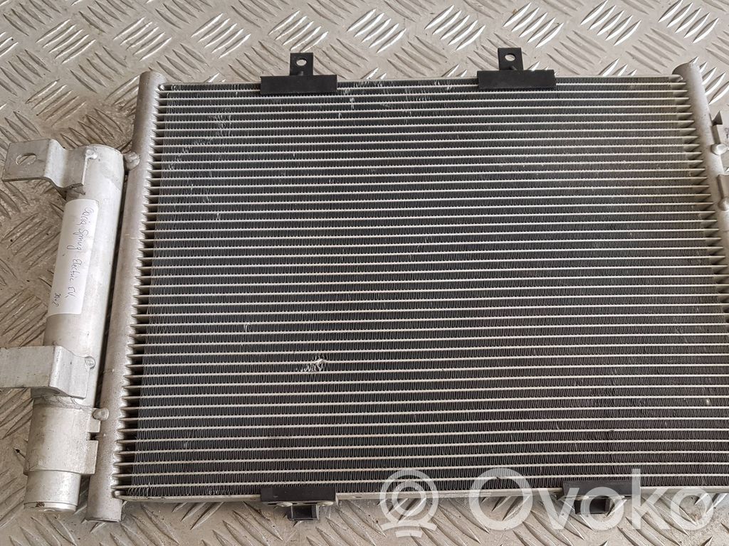 Dacia Spring Wasserkühler Kühlerpaket 