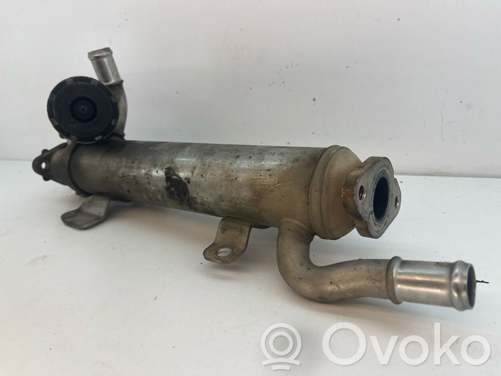 Volkswagen PASSAT B6 EGR dzesētājs 