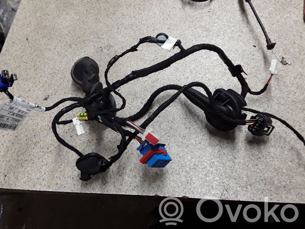 Cableado de puerta delantera   50504311